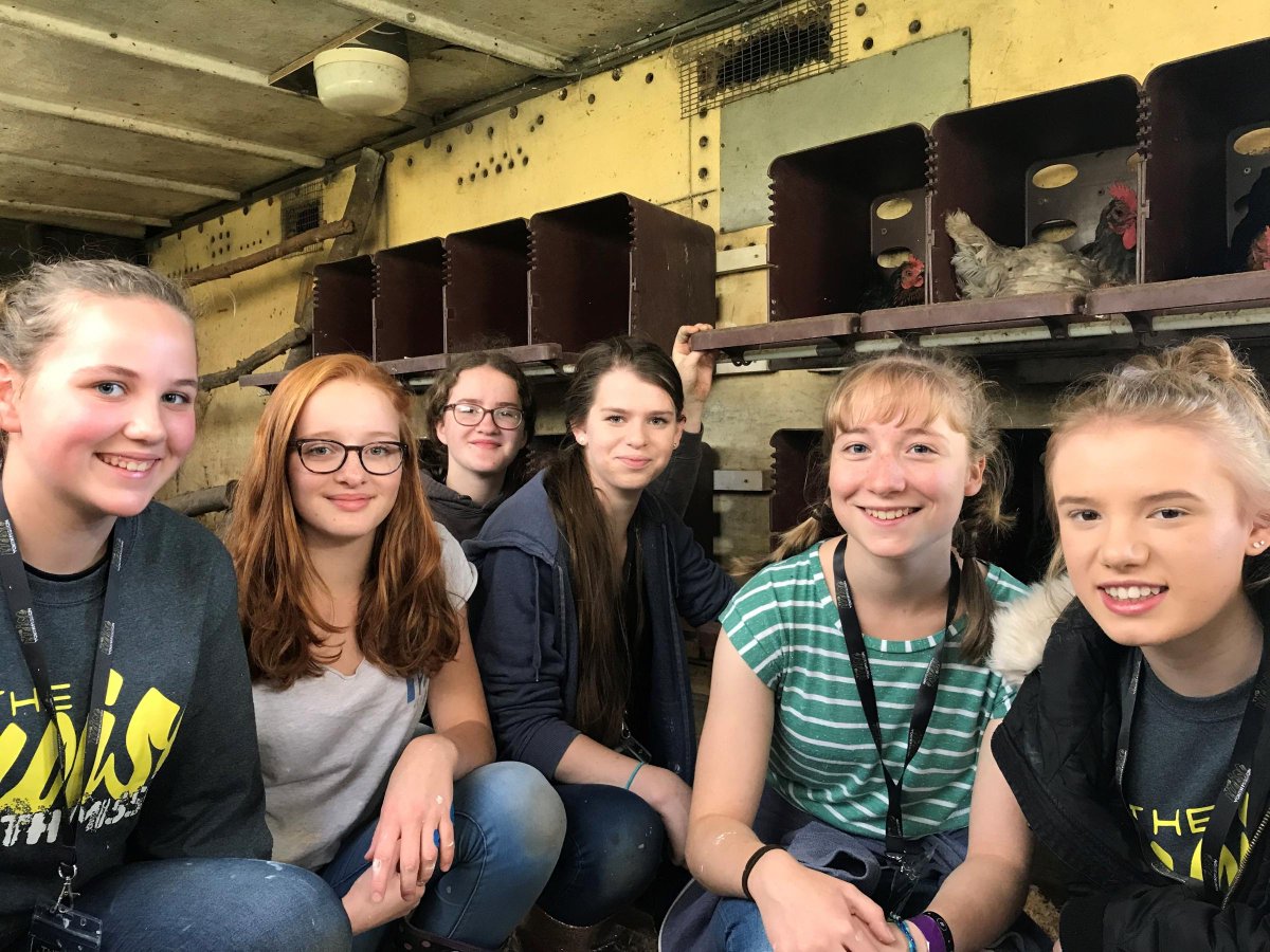 Young Christians spread love and 'noise' across the city dlvr.it/PzgqhC