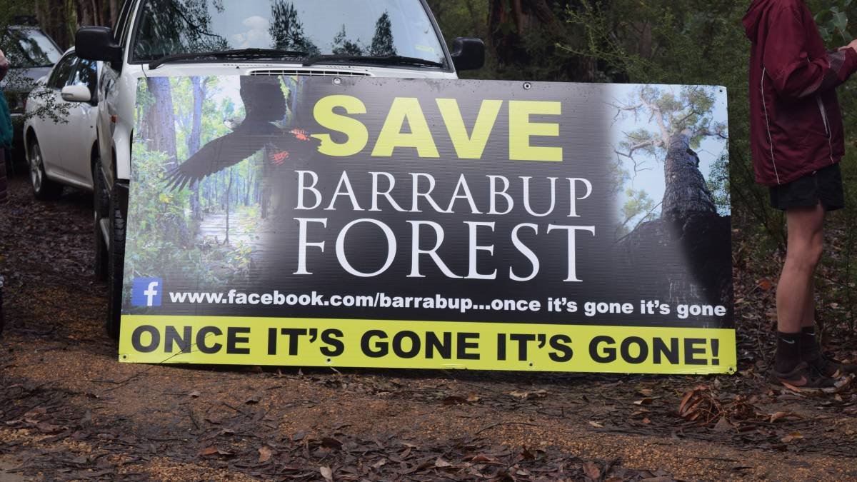 Barrabup Forest, WA 2017 Barrabup Forest