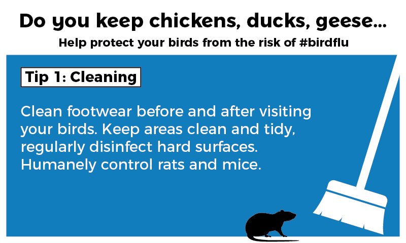 ScotGovRural's tweet photo. Having dedicated #BirdBoots and #BirdClothes is a simple way to improve biosecurity. Disinfect them regularly too! #AvianFlu #BirdFlu https://t.co/CH41lQCDeT