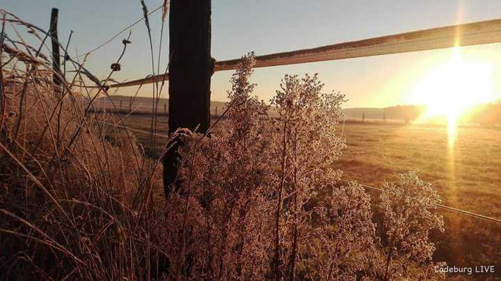 Frosty morning in Ladeburg

m.facebook.com/story.php?stor…