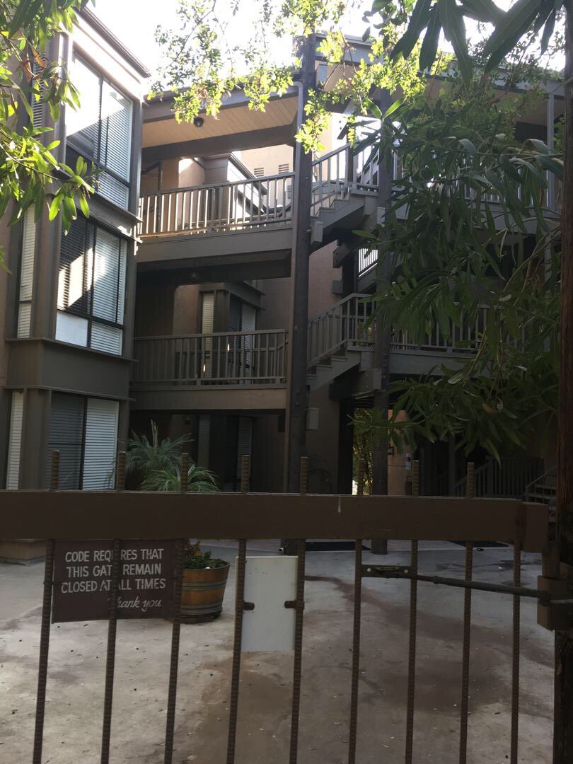 <a href="/Venice311/">Venice 311</a> <a href="/Culvercity311/">CulverCity311</a> <a href="/PDRScanner/">-</a> <a href="/Palms311/">Palms311</a> Anyone recognize this guy? He nearly crushed someone to death! nextdoor.com/news_feed/?pos…