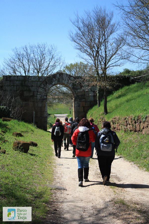 ParcoTreja's tweet photo. Visita guidata fuori dai confini del Parco: domenica 12 sulle tracce dei Falisci @ParcoTreja https://t.co/5ljh6TexlG
foto @Lymphavitale https://t.co/VPYBTmql7d