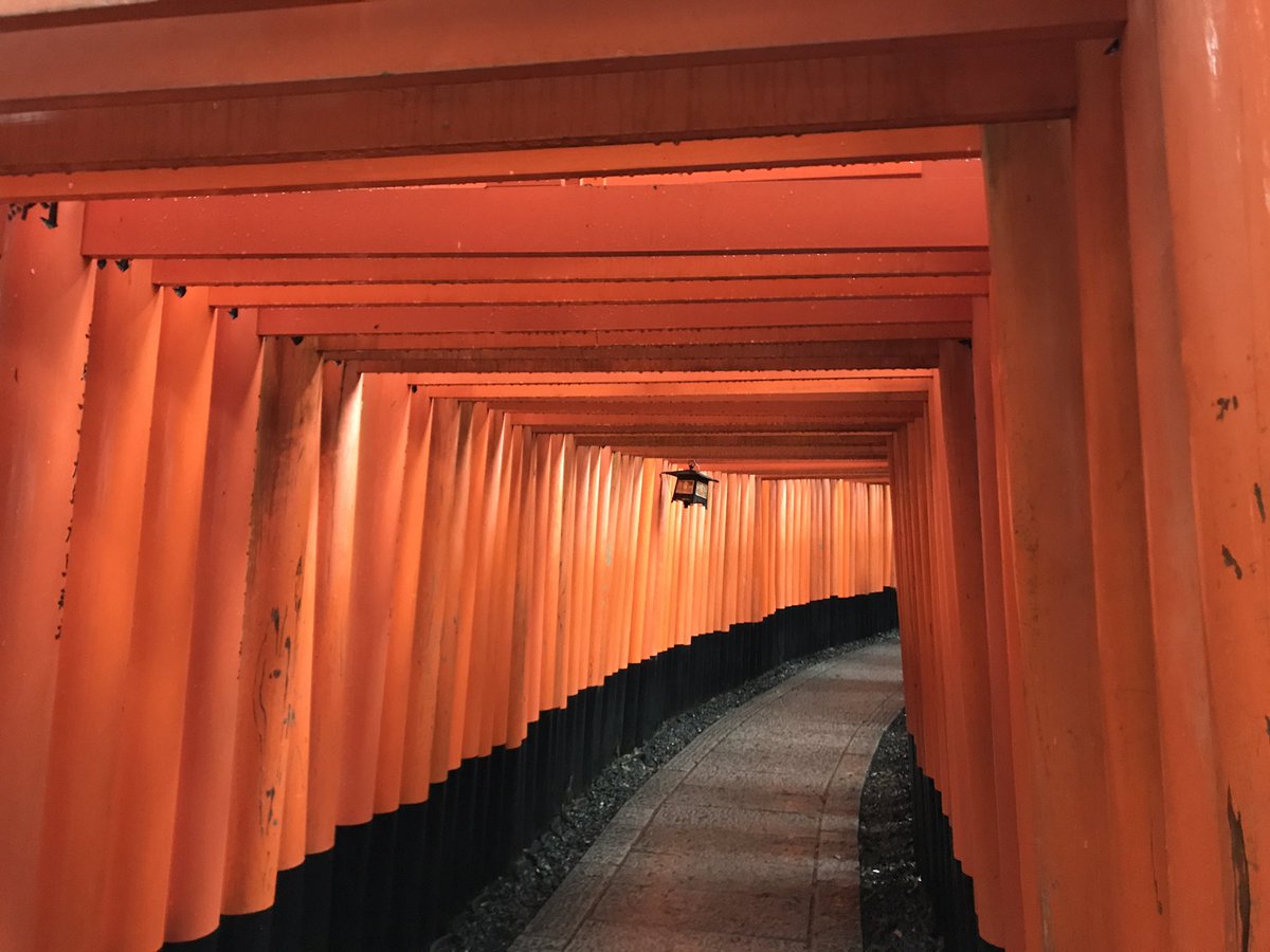 京都編😊
また行きたいわ。
やっぱり落ち着く街。
そして、雨男発動してしまってた先週の日曜wwww