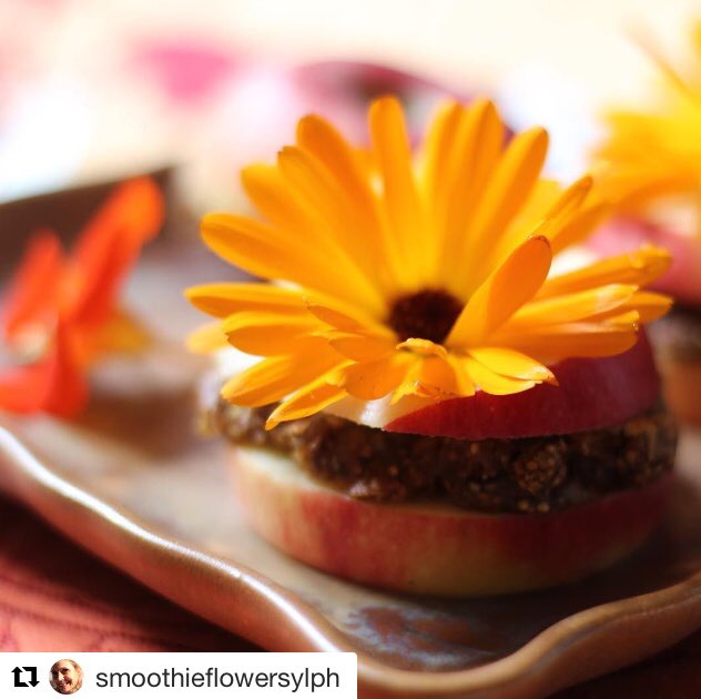SunnySteveLtd's tweet photo. We want to #start the #day with this beautiful post of🍎Fruity Sandwiches🍎#sunnysteve https://t.co/X6tEGPKR7p