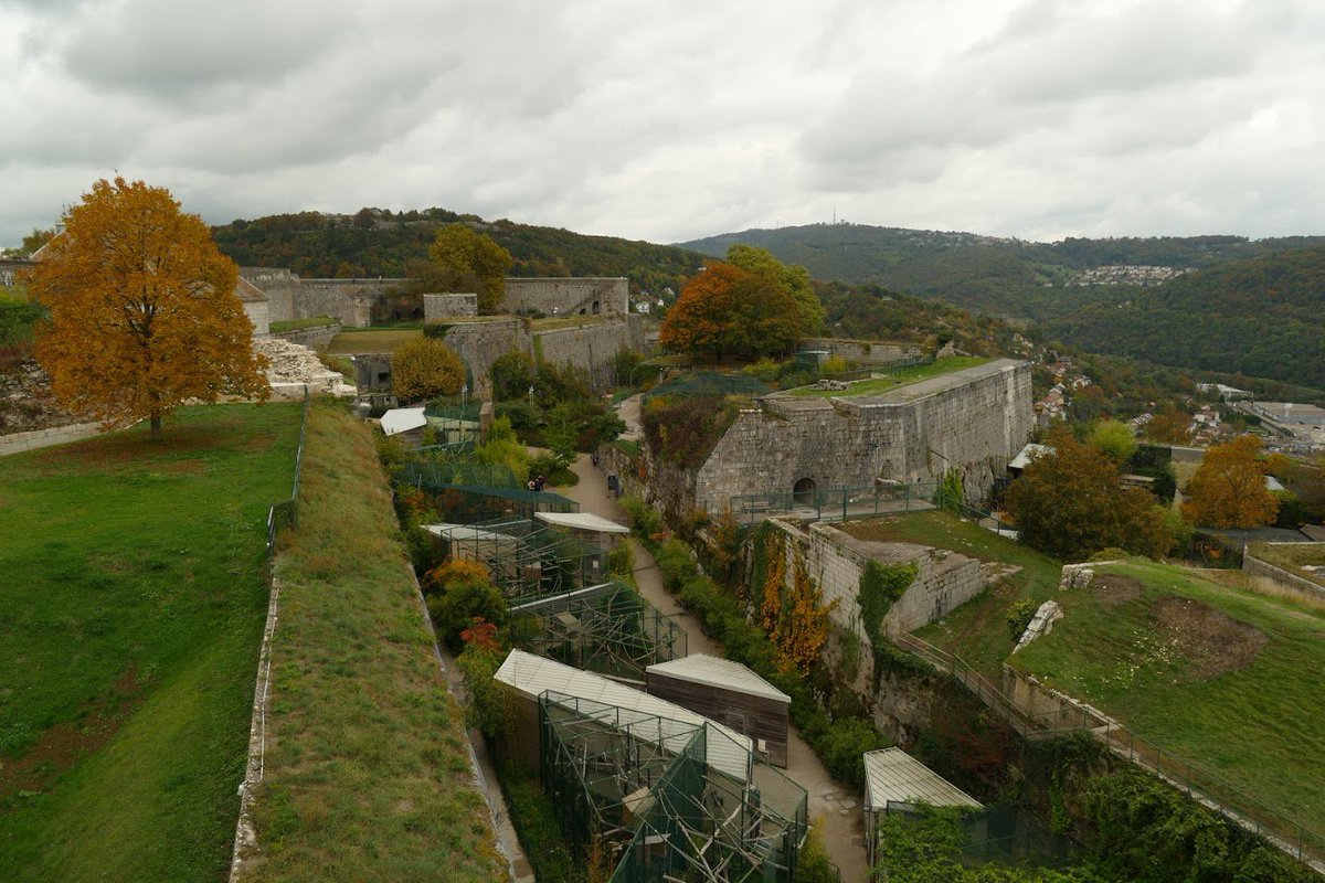 CitadelBesancon's tweet photo. On ne se lasse pas des couleurs d'automne 🍁🍂😍 #automne #citadelle #zoo #remparts #patrimoine #UNESCO #Besancon https://t.co/6hDwMCmVUB