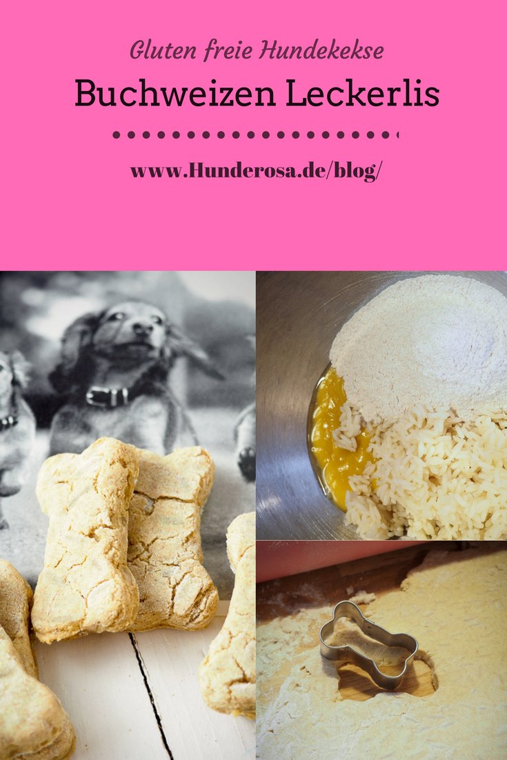 #hundekekse #hundeleckerlis #glutenfree #Allergie unser neues Rezept für Hunde mit Getreideallergie hunderosa.de/blog/buchweize…