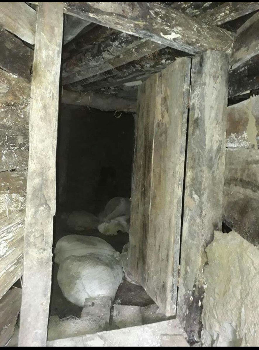 davidyeoo's tweet photo. Security forces found tunnels, terror safe houses, made by #ARSA terrorists in Maungtaw villages in the Nothern #Rakhine State. https://t.co/IEXt9TogMd