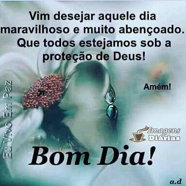 Alexandra S. Araújo (@alexandrasaraj1) on Twitter photo 