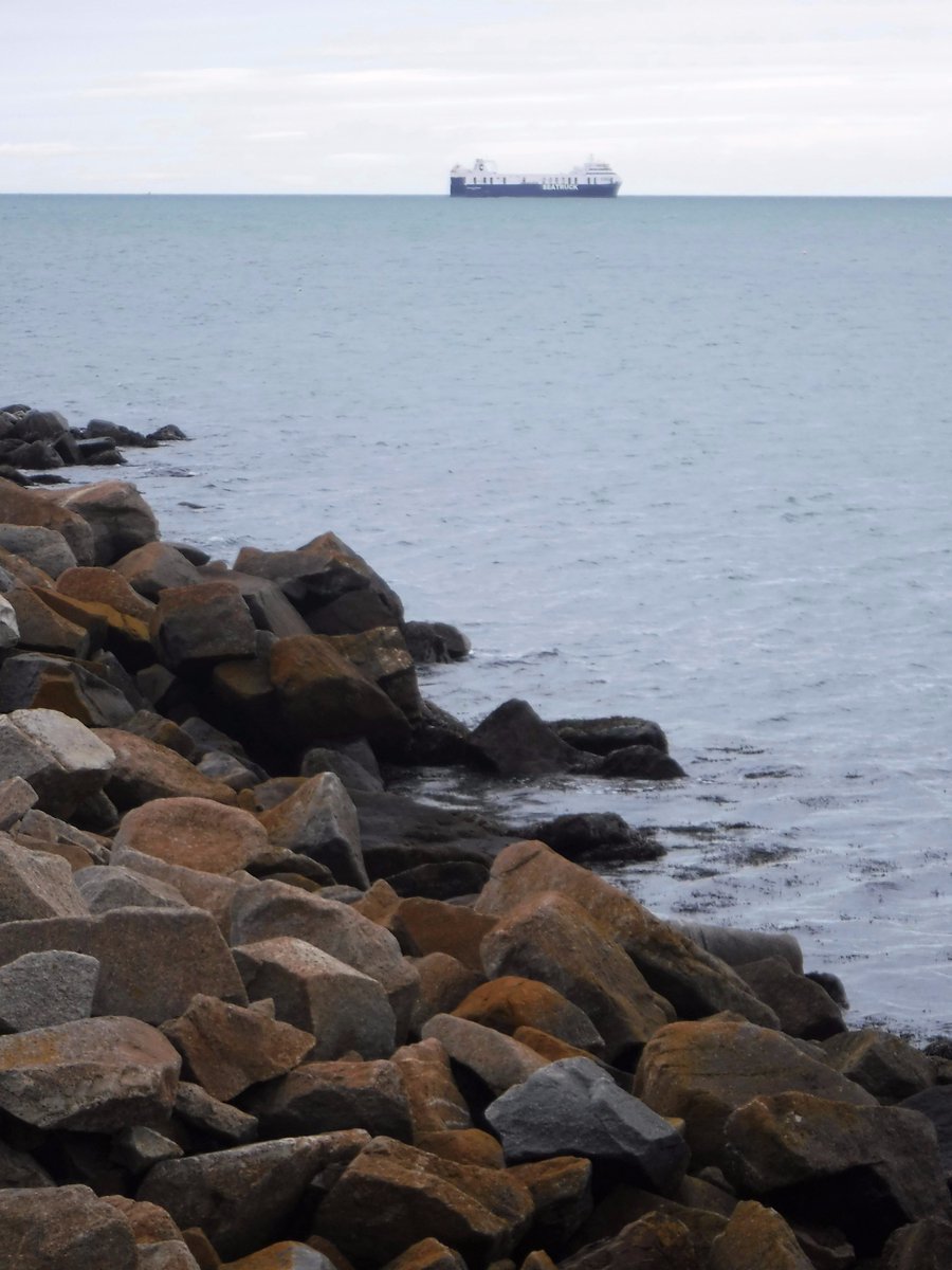 dlr_pop's tweet photo. Don't rock the boat! This vessel was spotted sailing serenely along in #Dunlaoghaire yesterday. #dlh200 #maritime #dlrpop #sea #ship https://t.co/OYzpaHUOEA