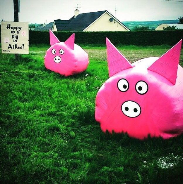 FeedForGrowth's tweet photo. Check out these funky #PinkBales, have you seen any bales on your travels? Send your pics in! #WrapPink https://t.co/pYtLsvVBH8