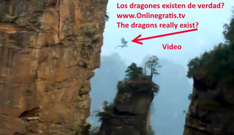OnlineEnlinea's tweet photo. Los dragones existen de verdad? mitologicos de culturas como la Japonesa o la China 
https://t.co/OEZUT9wOnZ

#dragones #mitologicos #China https://t.co/ybkF5KsCCV