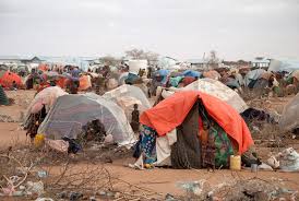haurralde's tweet photo. #ODS #Agenda2030 necesitamos urgente un status #RefugiadoClimatico #Etiopia claro ejemplo de ello #DolloAdo @Together_2030 @fsanmartin2014 https://t.co/p9eI65Iybh