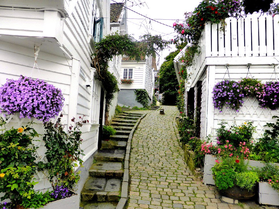 NormannAsk's tweet photo. Old Stavanger ,#picoftheday ,#ilikethispic ,#gamlestavanger ,#beautifulplaces ,#tourism ,#stavanger ,#amazingplaces ,#aftenbladet ,#flowers https://t.co/4uOfxY14hF