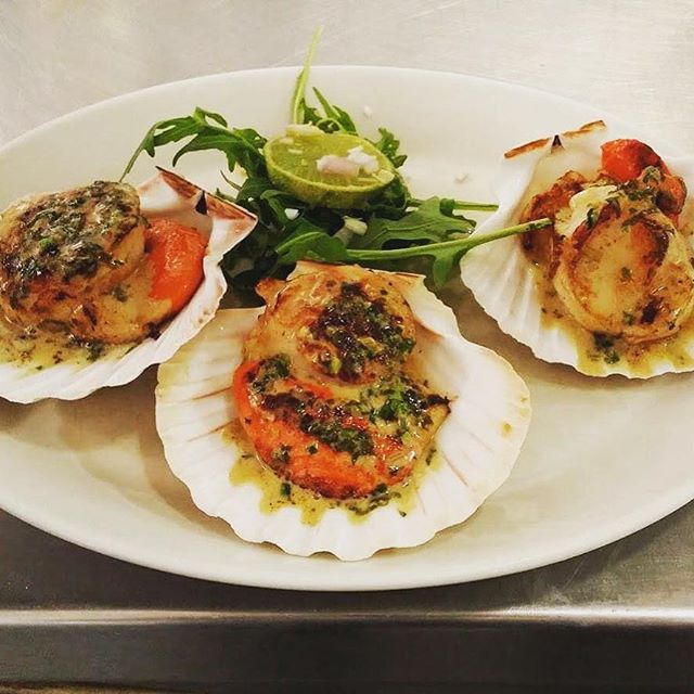 Fish Central tweet media