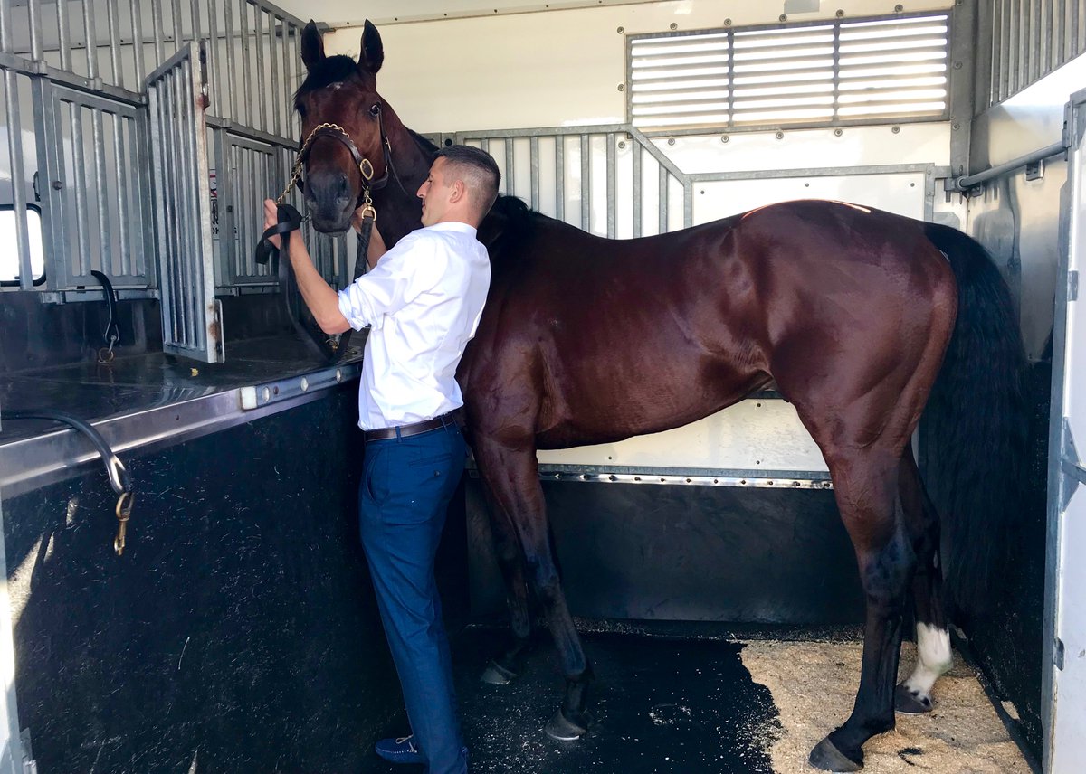 GoldnersHT's tweet photo. #GoldnersTransported Melbourne Cup runner-up, Johannes Vermeer. Pictured with his strapper, on his way to Flemington #GoldnersStable https://t.co/uG0tu720ds