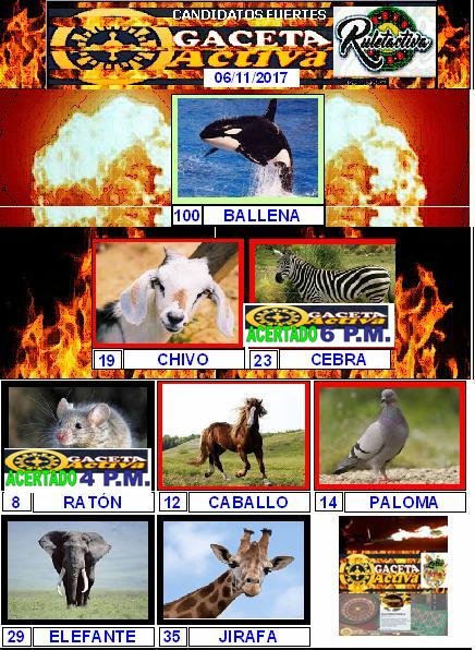 dateroruletero's tweet photo. BALANCE: CANDIDATOS FUERTES 2 ACIERTOS RULETA ACTIVA CANDELAZO ENCENDIDO Y 5 ACIERTOS EN LOTTO ACTIVO. PAR DE CANDELAZOS ENCENDIDOS! https://t.co/OskbRDrtCE