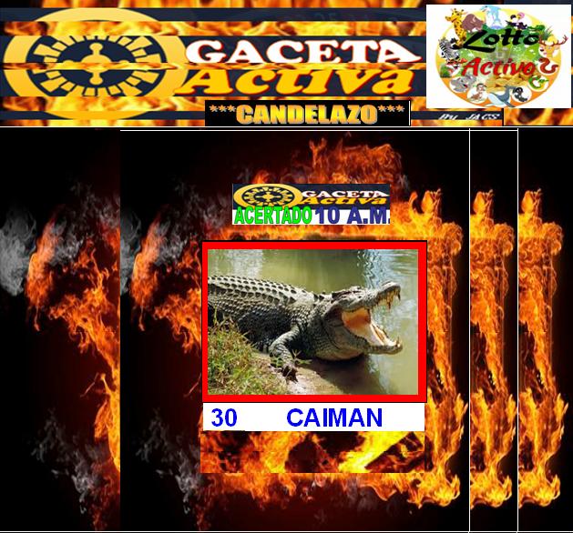dateroruletero's tweet photo. BALANCE: CANDIDATOS FUERTES 2 ACIERTOS RULETA ACTIVA CANDELAZO ENCENDIDO Y 5 ACIERTOS EN LOTTO ACTIVO. PAR DE CANDELAZOS ENCENDIDOS! https://t.co/OskbRDrtCE