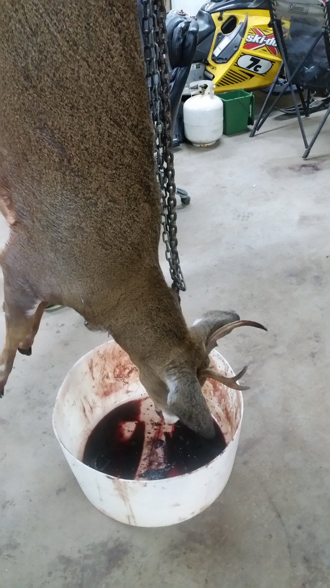 ADickson77's tweet photo. Muzzle loader tag filled, now for the monster!! #MuzzleLoader https://t.co/DLrUJzjwjZ