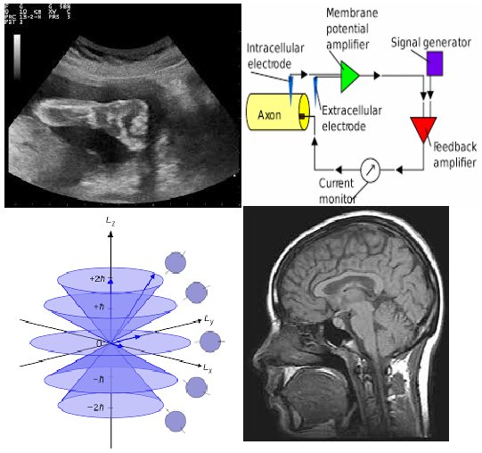 16/Medical Physics also covers ultrasound, computing, diagnostic radiology, MRI, physiological measurement. And don’t forget Engineering...