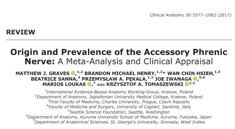 amandameyerphd's tweet photo. Accessory phrenic nerve reported to have overall pooled prevalence of 36.5% in MA #anatomy #anatomicalvariant https://t.co/McSpP5FqVg https://t.co/iOG3cRDzUX