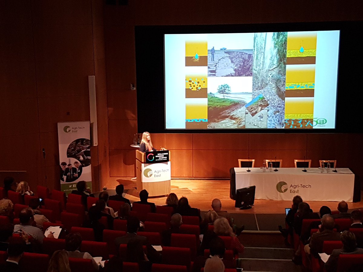 RothamstedEnterprises tweet media