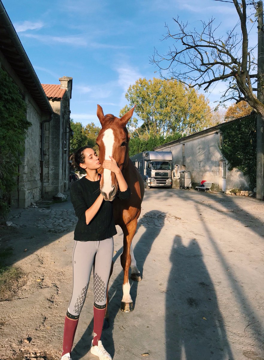 iman_perez's tweet photo. (FOR SALE) Velvet - 8 yo gelding by RADCO x VLAN DE VERGOIGNAN (All the scope, big future) https://t.co/DNCsvgOznR