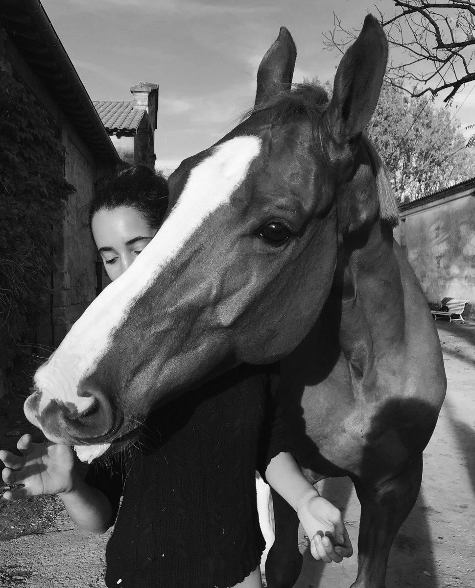 iman_perez's tweet photo. (FOR SALE) Velvet - 8 yo gelding by RADCO x VLAN DE VERGOIGNAN (All the scope, big future) https://t.co/DNCsvgOznR