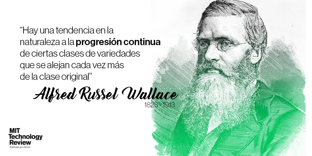 ️ Hoy es el 104º anivesrario de la muerte de Alfred Russel Wallace, que inspiró a Charles Darwin con su propia teorí... | MIT Tech Review ES | Scoopnest