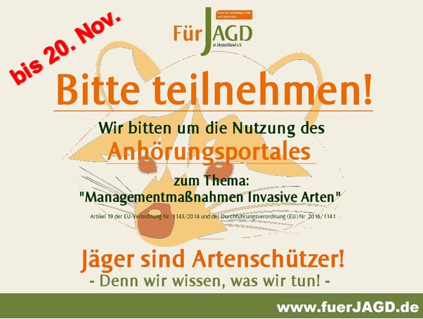Jetzt lesen: Managementmaßnahme invasive Arten go.fuerjagd.de/7125