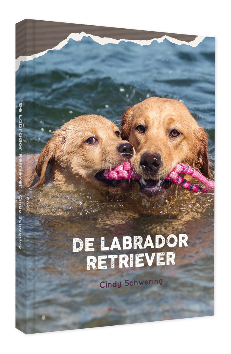 tantepee's tweet photo. In opdracht van Schwering Communicatie heeft Tante Pee weer een nieuw boek ontworpen: De Labrador Retriever! https://t.co/9Y3Yd4FjXo https://t.co/b9EIjhYr7W