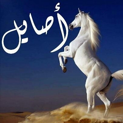 ssiivip's tweet photo. ليتك تشوف اللــي بقلبي وتقراه​
وتعرف مكانك داخل القلب بوضوح​
​وتشوف حبك ،كيف قلبي تبناه​
وتعرف مدى تأثير حبك على الروح ❤️ https://t.co/lRjNvLczjV