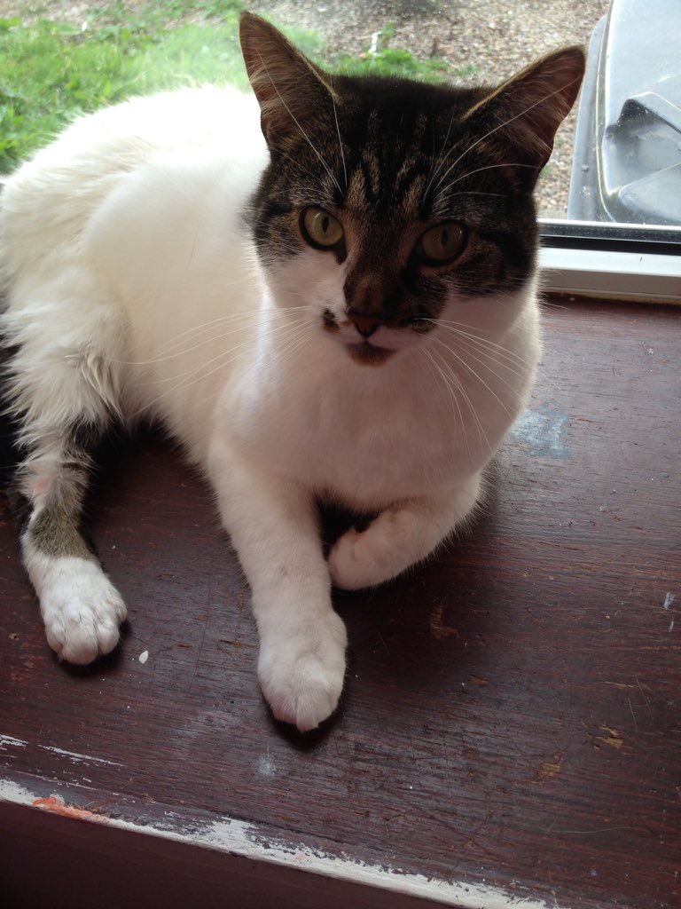 ruby33b's tweet image. Sooky