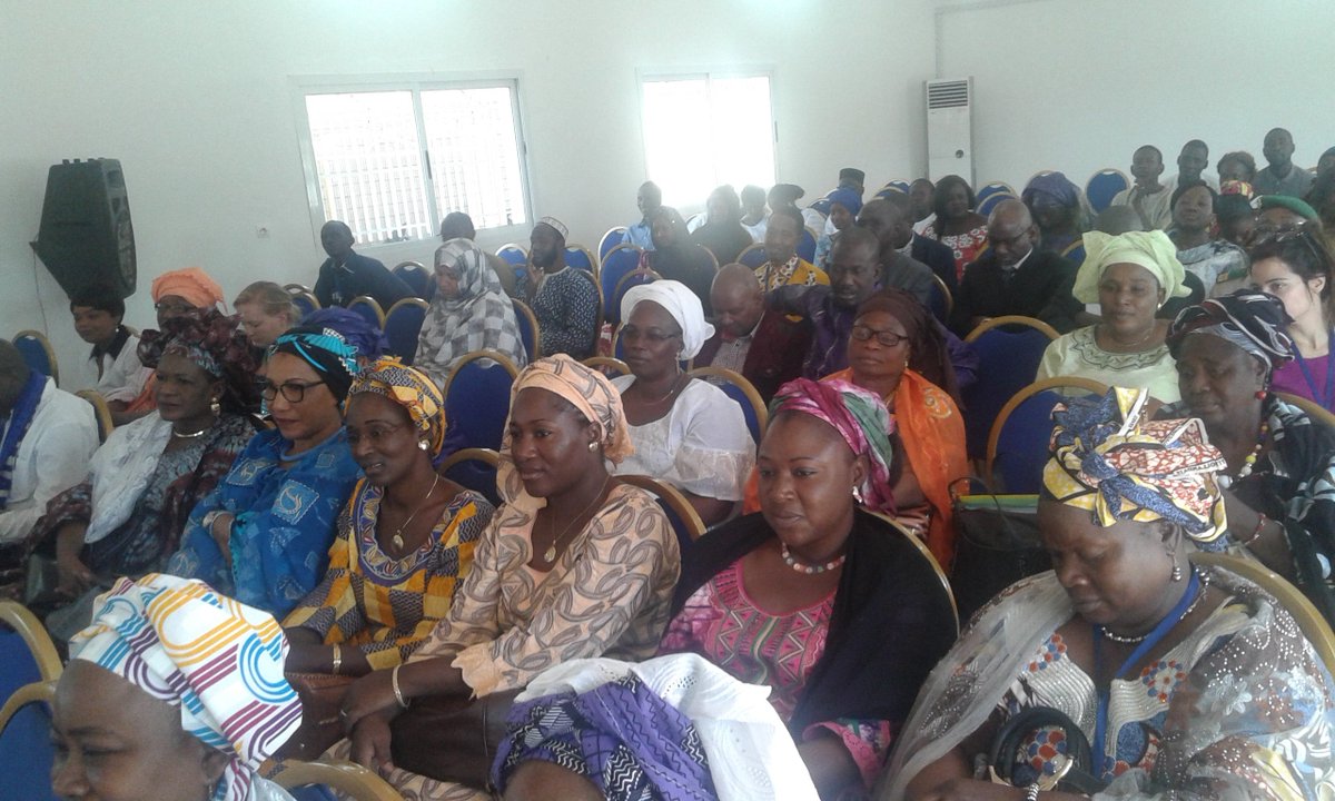 Le WiLDAF/Mali crée en 1995 pour promouvoir l'utilisation efficace par les femmes des stratégies incluant la loi pour l'auto-développement