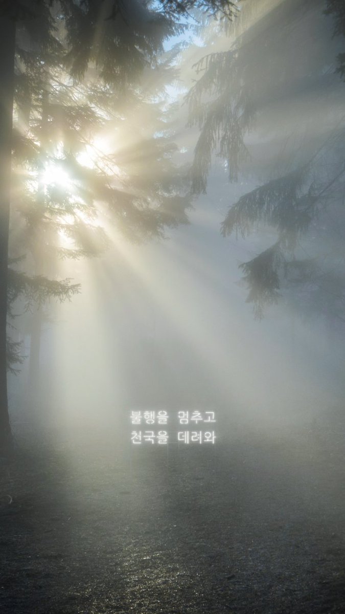 패데 tweet media