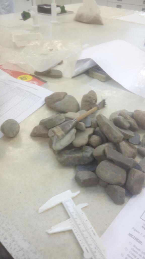 Han_dyer97's tweet photo. Who doesn't love some #supersediments to start a Tuesday?! https://t.co/hqKxvHLF0o