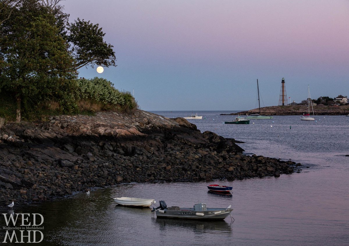 orenphoto's tweet photo. Harvest Moon under the Tree at Fort Sewall - https://t.co/QBHgGnm6I0 - #FortBeach #FortSewall #HarvestMoon #Moonrise #Marblehead https://t.co/2BKLLHXur0