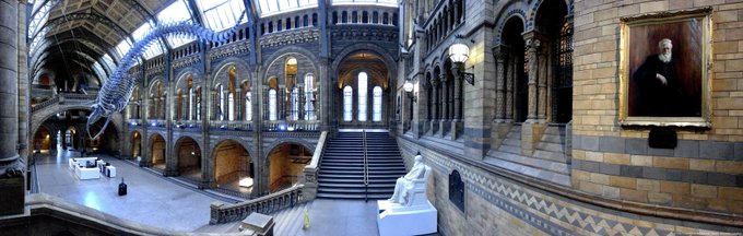 Panoramic photo of the Museum’s central space, showing on the far right the portrait of Wallace hanging on the wall at the top right hand side of the North stairs, Darwin’s statue at the middle of the stairs and Hope the blue whale skeleton hanging in the hall.