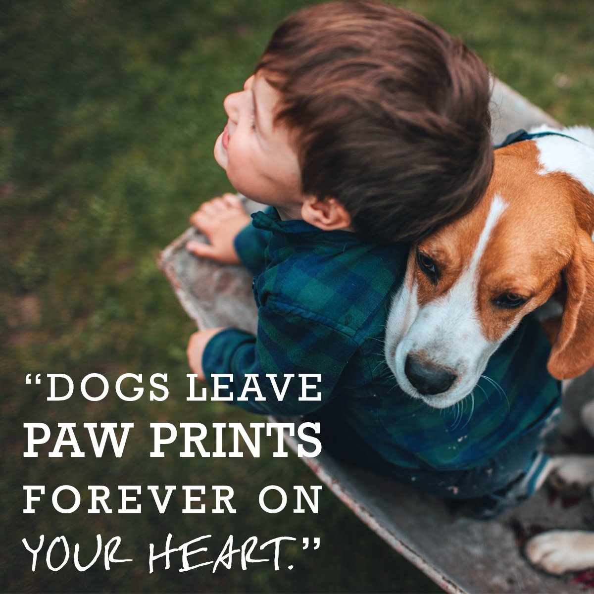 VetriScience's tweet photo. RT if you agree! https://t.co/cIwL2sUayj