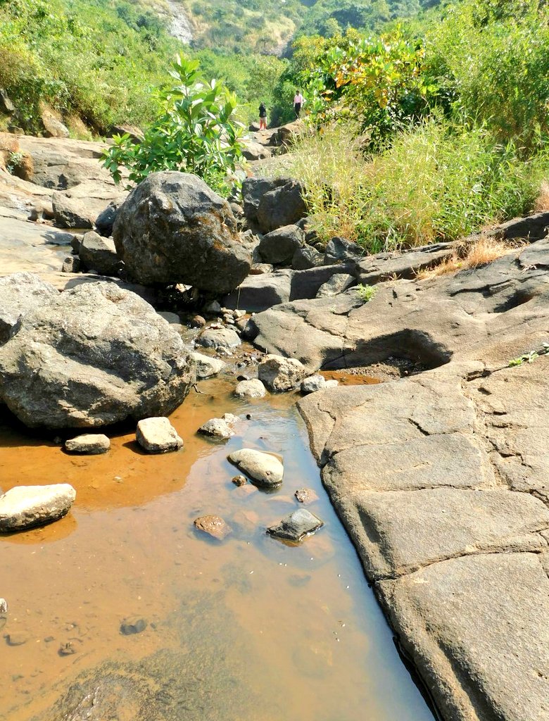 pune_wanderer's tweet photo. Lush greenery &amp; random waterfalls on the way to lohagad fort makes the trip more beautiful...

#Pune #travel  #Maharashtra #IncredibleIndia https://t.co/5xo1QQm23I