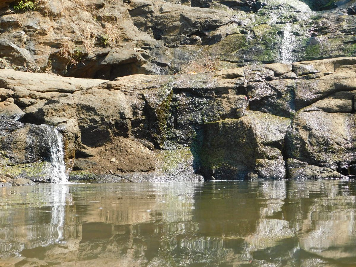 pune_wanderer's tweet photo. Lush greenery &amp; random waterfalls on the way to lohagad fort makes the trip more beautiful...

#Pune #travel  #Maharashtra #IncredibleIndia https://t.co/5xo1QQm23I