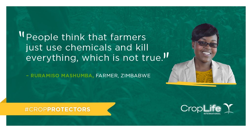 CropLifeIntl's tweet photo. #CropProtector @RuramisoM works to promote Integrated Pest Management and sustainable agriculture in Zimbabwe https://t.co/xYMvGWYjdF #IPM https://t.co/UDUeIuZhHB