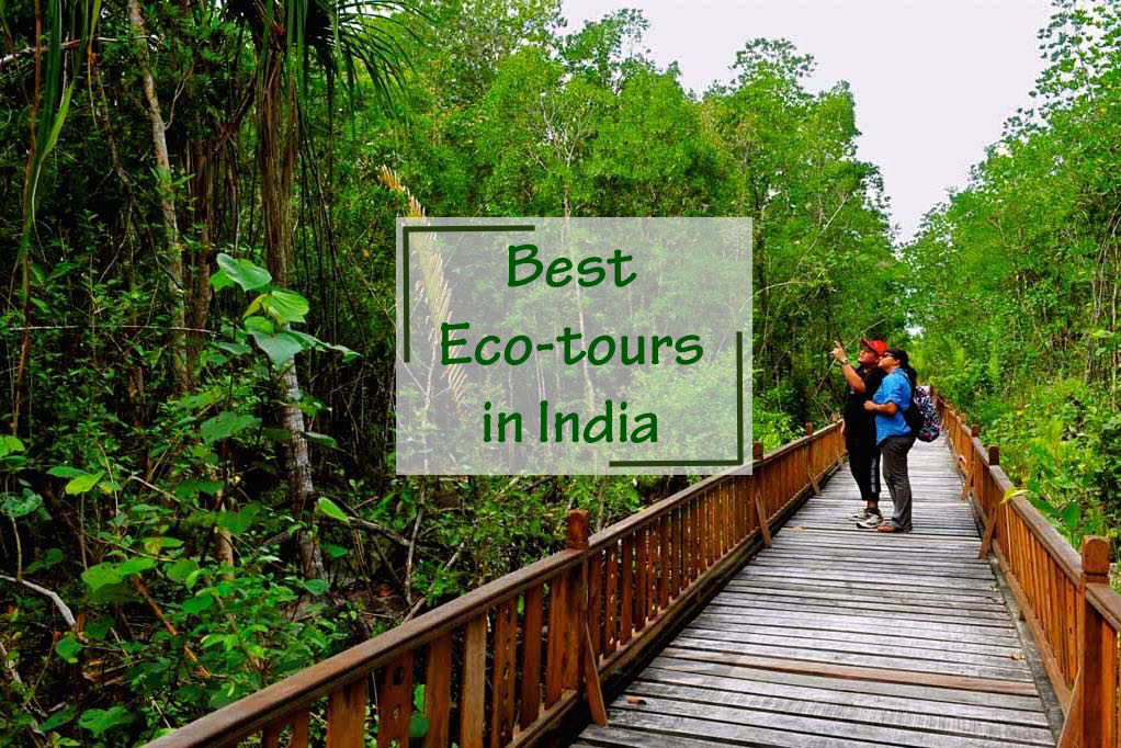 ANIMESHASHISH1's tweet photo. Top 10 eco tours in India >> https://t.co/fU2WoXQel2 #masti  #KeerthySuresh https://t.co/CUOLrT3F1F