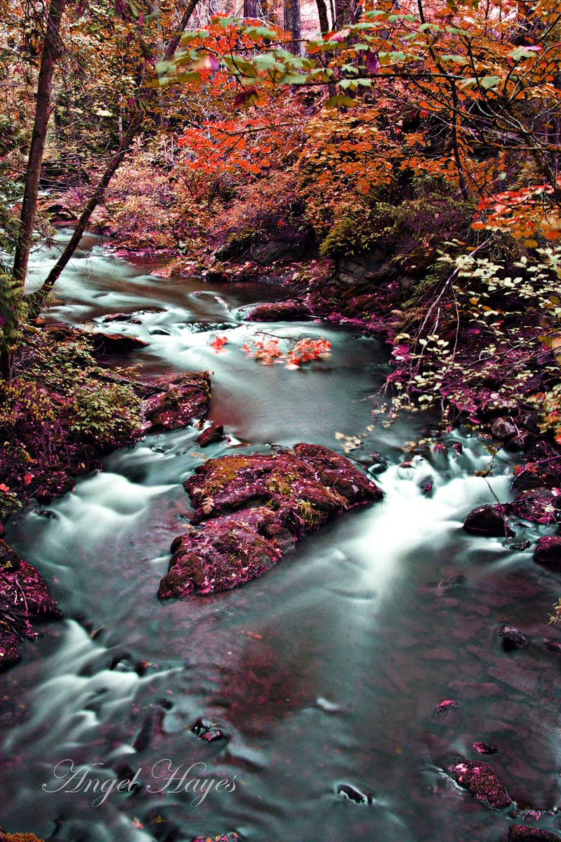 AngelHayesPhoto's tweet photo. #PNW #outdoors #PhotoOfTheDay #photography #Canon #hikingadventures #Streams #fallcolors #fall #longexposure #photopaint #artwork #art #love https://t.co/G2lB18FmJD