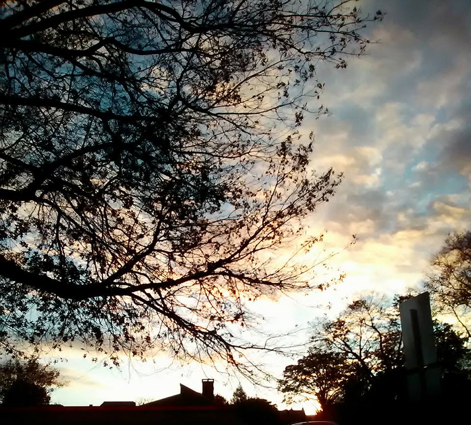 WHMcIntyre's tweet image. These dreams
The quiet mystery
Of fading November light.