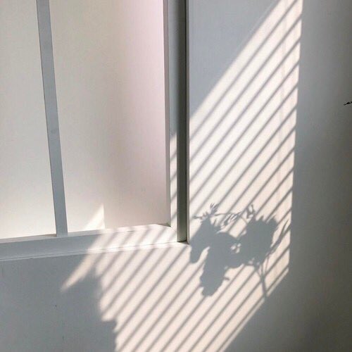 itfeelquotes's tweet photo. I never thought that I'd like you this much.

ไม่คิดมาก่อนเลย
ว่าฉันจะชอบคุณได้มากขนาดนี้ https://t.co/xvjVn2YRA2