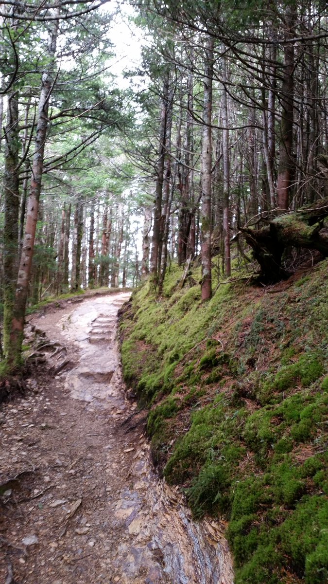 PINKhikes's tweet photo. Peaceful and filled with natural beauty ... such was our hike on #AlumCaveTrail #MountLeConte #Gatlinburg #TN #tennessee #hwy441 #hiking https://t.co/jeIuO9SadH