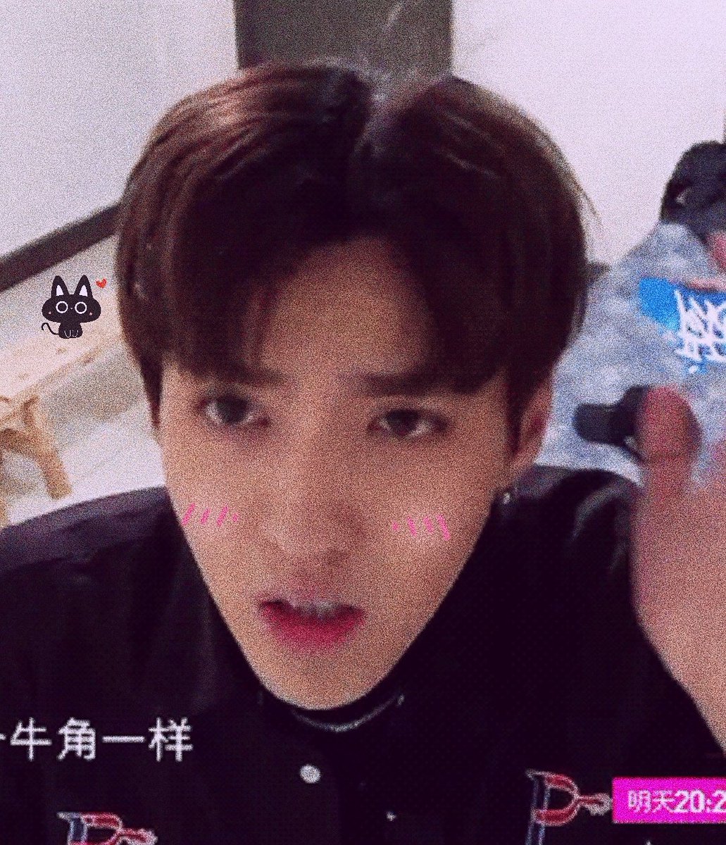 wysoftbot's tweet photo. ↳ #KRISWU #吴亦凡 ༊*·˚ 
⏤ 🐱 https://t.co/T9c6OEOuQ5