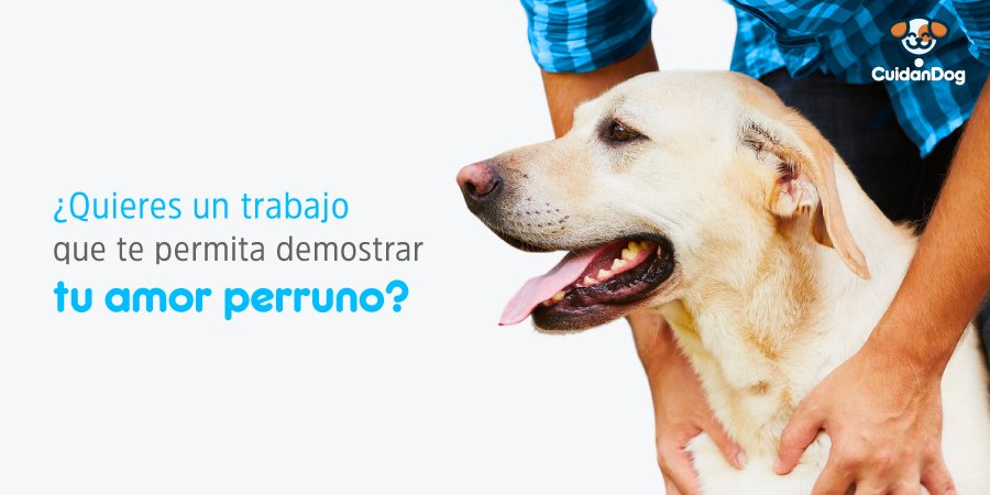 cuidandog's tweet photo. ¡Conviértete en uno de nuestros #Paseadogs! Diviértete en el universo de los paseos caninos y recibe un reconocimiento monetario. #cuidandog https://t.co/ZwXHZz7DOn