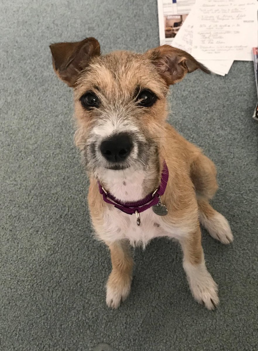 My new office assistant.