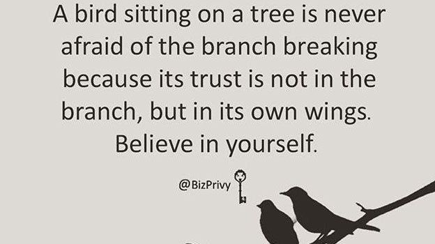iamfearlesssoul's tweet photo. A bird sitting on a tree is never afraid of the branch breaking. Not because of it's trust in the branch, but in it's own wings. https://t.co/ApcSOGjHhz